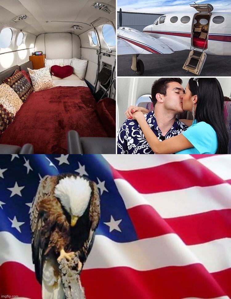 image tagged in mile high club,bald eagle bowing | made w/ Imgflip meme maker