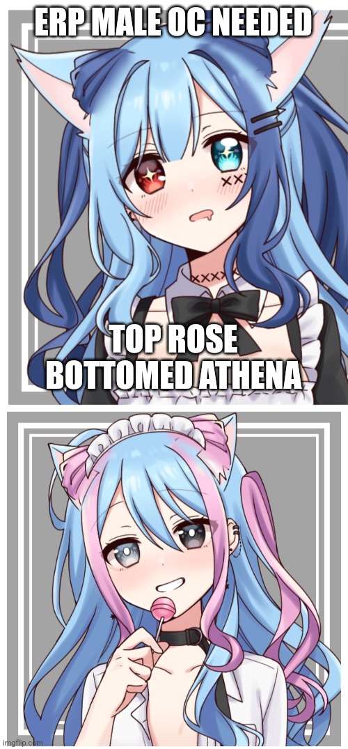 ERP MALE OC NEEDED; TOP ROSE BOTTOMED ATHENA | made w/ Imgflip meme maker