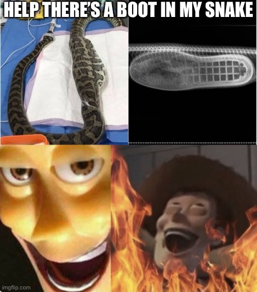 Woody’s revenge | HELP THERE’S A BOOT IN MY SNAKE | image tagged in satanic woody no spacing | made w/ Imgflip meme maker