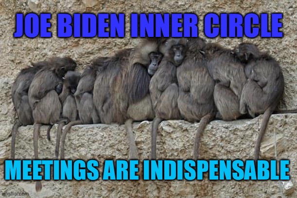 Joe Biden inner circle | JOE BIDEN INNER CIRCLE; MEETINGS ARE INDISPENSABLE | image tagged in joe biden,inner circle,meetings,indispensable,politics | made w/ Imgflip meme maker