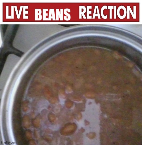live beans reaction | image tagged in live beans reaction | made w/ Imgflip meme maker