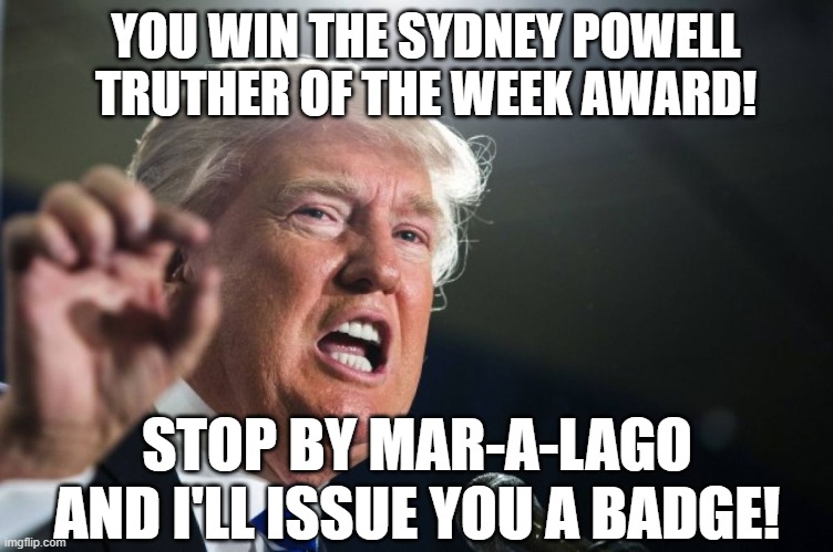 donald trump | YOU WIN THE SYDNEY POWELL TRUTHER OF THE WEEK AWARD! STOP BY MAR-A-LAGO AND I'LL ISSUE YOU A BADGE! | image tagged in donald trump | made w/ Imgflip meme maker