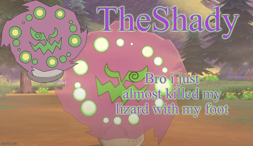 Hate when that happens | Bro i just almost killed my lizard with my foot | image tagged in theshady spiritomb temp | made w/ Imgflip meme maker