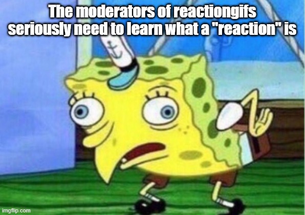 Like Are You.... | The moderators of reactiongifs seriously need to learn what a "reaction" is | image tagged in memes,mocking spongebob | made w/ Imgflip meme maker