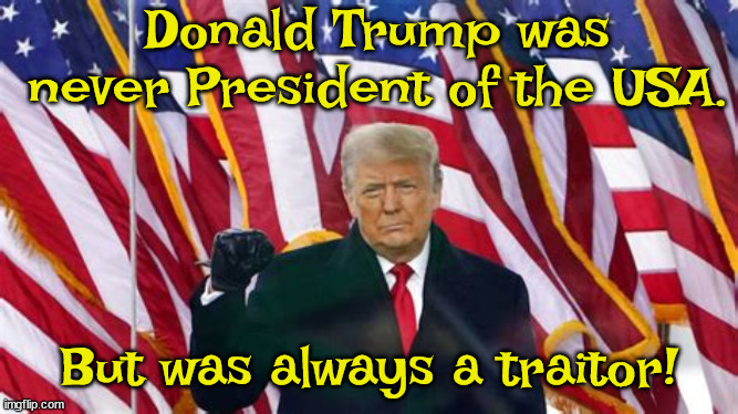 Traitor | Donald Trump was never President of the USA. But was always a traitor! | image tagged in maga,trump,traitor,criminal,liar | made w/ Imgflip meme maker