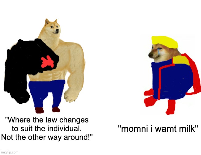 Buff Doge vs. Cheems Meme | "Where the law changes to suit the individual. Not the other way around!"; "momni i wamt milk" | image tagged in memes,buff doge vs cheems,the boys,metal gear solid | made w/ Imgflip meme maker