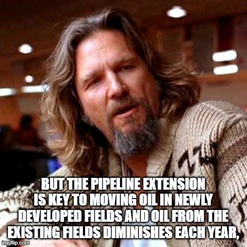 Confused Lebowski Meme | BUT THE PIPELINE EXTENSION IS KEY TO MOVING OIL IN NEWLY DEVELOPED FIELDS AND OIL FROM THE EXISTING FIELDS DIMINISHES EACH YEAR, | image tagged in memes,confused lebowski | made w/ Imgflip meme maker