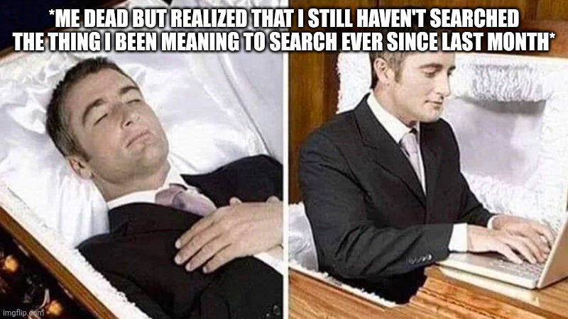 . | *ME DEAD BUT REALIZED THAT I STILL HAVEN'T SEARCHED THE THING I BEEN MEANING TO SEARCH EVER SINCE LAST MONTH* | image tagged in deceased man in coffin typing | made w/ Imgflip meme maker