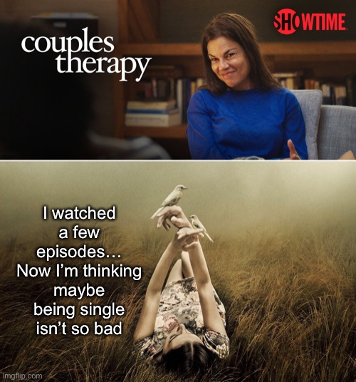 The Complications of Being Humans | I watched a few episodes…
Now I’m thinking maybe being single isn’t so bad | image tagged in memes,relationships,couples therapy | made w/ Imgflip meme maker