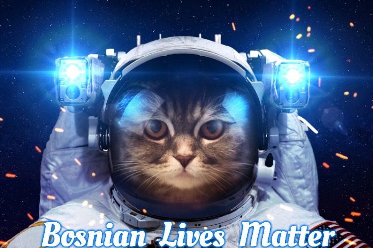 Space Cat 2 | Bosnian  Lives  Matter | image tagged in space cat 2,slavic,bosnian | made w/ Imgflip meme maker