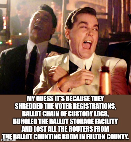 Good Fellas Hilarious Meme | MY GUESS IT'S BECAUSE THEY SHREDDED THE VOTER REGISTRATIONS, BALLOT CHAIN OF CUSTODY LOGS, BURGLED THE BALLOT STORAGE FACILITY AND LOST ALL  | image tagged in memes,good fellas hilarious | made w/ Imgflip meme maker