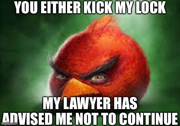 Realistic Red Angry Birds | YOU EITHER KICK MY LOCK; MY LAWYER HAS ADVISED ME NOT TO CONTINUE | image tagged in realistic red angry birds | made w/ Imgflip meme maker
