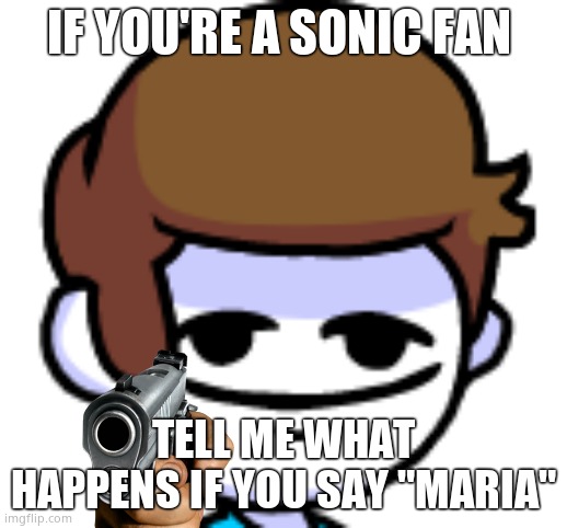 Unless you know, you cant call yourself a sonic fan | IF YOU'RE A SONIC FAN; TELL ME WHAT HAPPENS IF YOU SAY "MARIA" | image tagged in funni nonsense,sonic | made w/ Imgflip meme maker