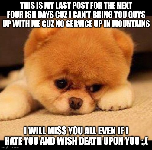 Camping | THIS IS MY LAST POST FOR THE NEXT FOUR ISH DAYS CUZ I CAN'T BRING YOU GUYS UP WITH ME CUZ NO SERVICE UP IN MOUNTAINS; I WILL MISS YOU ALL EVEN IF I HATE YOU AND WISH DEATH UPON YOU :,( | image tagged in sad dog | made w/ Imgflip meme maker