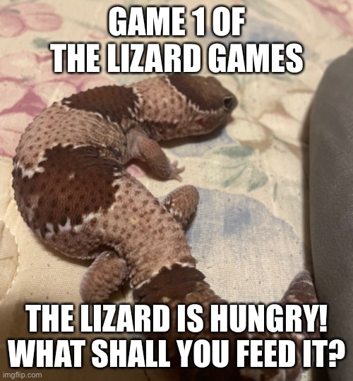 @ evryone who signed up for lizard games | GAME 1 OF THE LIZARD GAMES; THE LIZARD IS HUNGRY! WHAT SHALL YOU FEED IT? | made w/ Imgflip meme maker