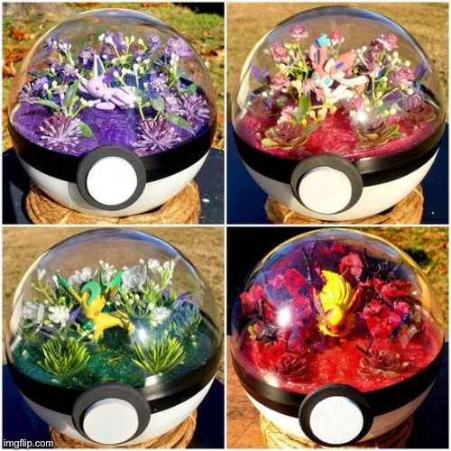 More of the awesome pokeball  terrariums
Death note: WHERE IS SCIZOR!? | image tagged in pokemon | made w/ Imgflip meme maker