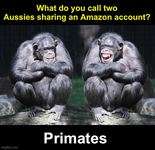 It’s Prime time. | What do you call two Aussies sharing an Amazon account? Primates | image tagged in funny memes,amazon,amazon prime day,eyeroll | made w/ Imgflip meme maker