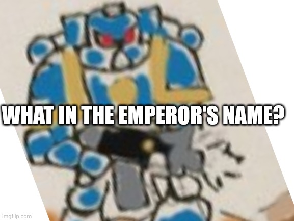 Aaaaa | WHAT IN THE EMPEROR'S NAME? | image tagged in never,gonna,give,you,up | made w/ Imgflip meme maker