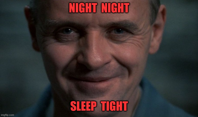 NIGNT NIGHT, SLEEP TIGHT | NIGHT  NIGHT; SLEEP  TIGHT | image tagged in lector | made w/ Imgflip meme maker