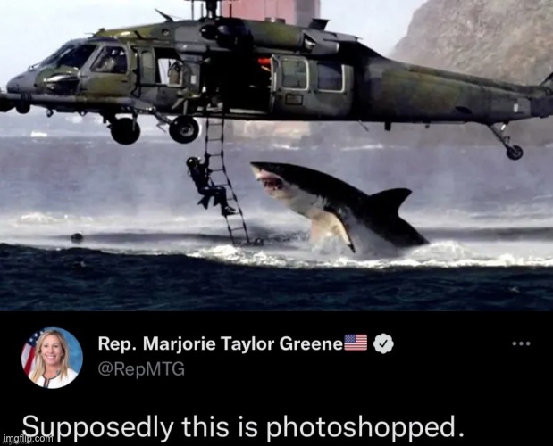 MTG is dumber than a bag of rocks. | image tagged in marjorie taylor greene,photoshop,you don't say,shark,dumbass | made w/ Imgflip meme maker