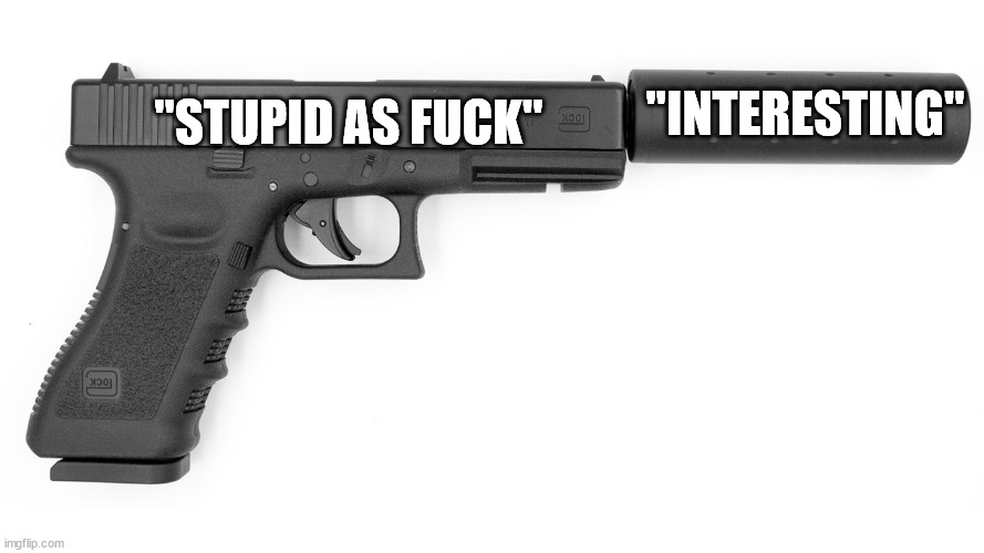 Gun Silencer | "INTERESTING"; "STUPID AS FUCK" | image tagged in gun silencer | made w/ Imgflip meme maker