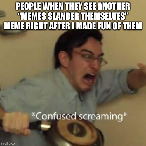 Ha ha ha | PEOPLE WHEN THEY SEE ANOTHER “MEMES SLANDER THEMSELVES” MEME RIGHT AFTER I MADE FUN OF THEM | image tagged in filthy frank confused scream | made w/ Imgflip meme maker
