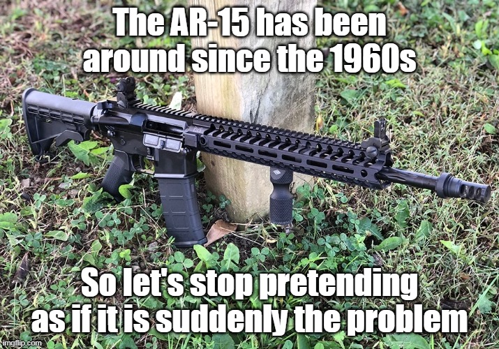 One law solves it all: No guns for Democrats! | The AR-15 has been around since the 1960s; So let's stop pretending as if it is suddenly the problem | image tagged in stealthy gun,2nd amendment,gun rights,self defense,tyranny | made w/ Imgflip meme maker