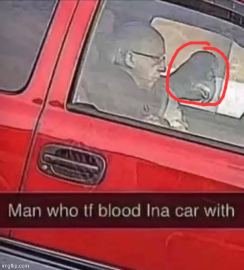 Wtf | image tagged in funny | made w/ Imgflip meme maker