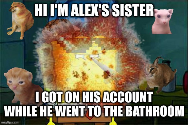 here's a repost of alex's sister (no i did not make this) | made w/ Imgflip meme maker