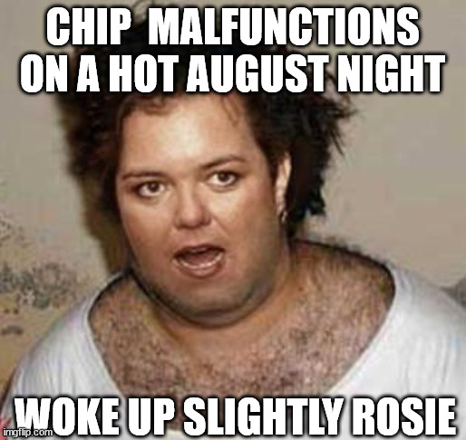 CHIP  MALFUNCTIONS ON A HOT AUGUST NIGHT WOKE UP SLIGHTLY ROSIE | made w/ Imgflip meme maker
