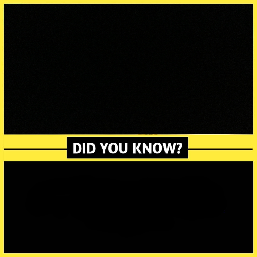 Did you know Blank Meme Template