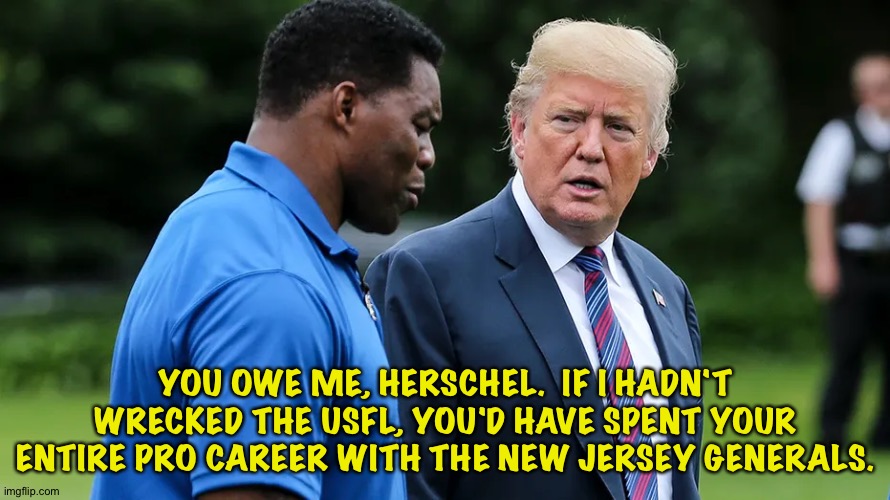 Payback time | YOU OWE ME, HERSCHEL.  IF I HADN'T WRECKED THE USFL, YOU'D HAVE SPENT YOUR ENTIRE PRO CAREER WITH THE NEW JERSEY GENERALS. | image tagged in herschel walker trump | made w/ Imgflip meme maker