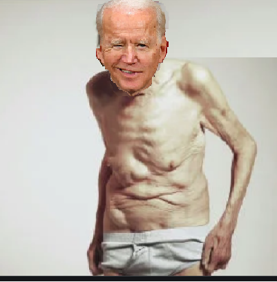 Joe Biden aka Pedo Peter Blank Meme Template