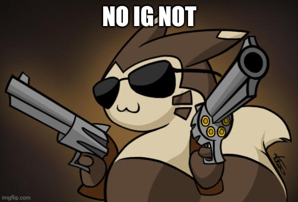 Badass furret | NO IG NOT | image tagged in badass furret | made w/ Imgflip meme maker