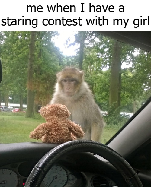 me when I have a staring contest with my girl | image tagged in lose | made w/ Imgflip meme maker