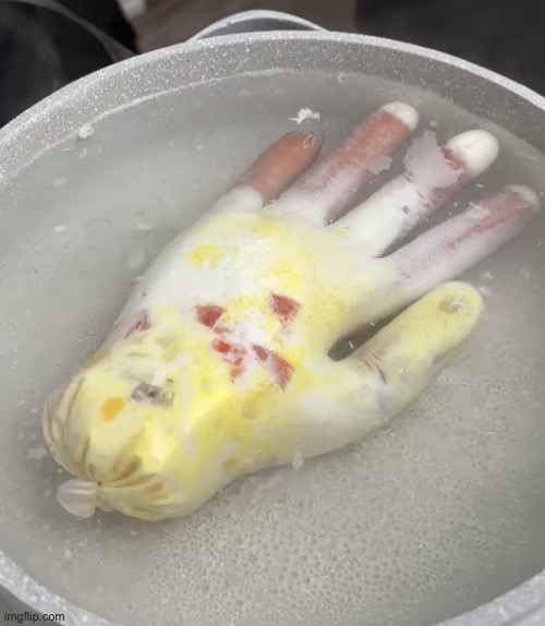 Hotdog omelette glove | image tagged in hotdog omelette glove | made w/ Imgflip meme maker