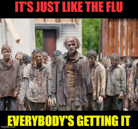 just like the flu | IT'S JUST LIKE THE FLU; EVERYBODY'S GETTING IT | image tagged in zombies | made w/ Imgflip meme maker