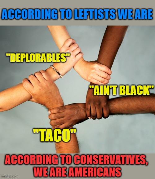 We are United Against Leftist Bigots | ACCORDING TO LEFTISTS WE ARE; "DEPLORABLES"; "AIN'T BLACK"; "TACO"; ACCORDING TO CONSERVATIVES, 
WE ARE AMERICANS | image tagged in american diversity,leftist,bigots | made w/ Imgflip meme maker