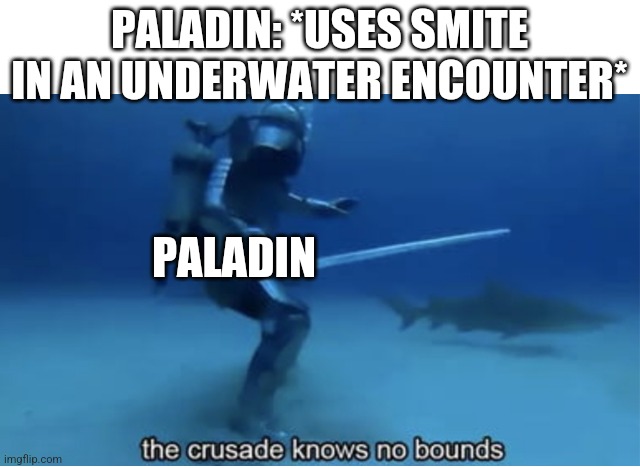 Me | PALADIN: *USES SMITE IN AN UNDERWATER ENCOUNTER*; PALADIN | image tagged in the crusade knows no bounds,meme,paladins | made w/ Imgflip meme maker