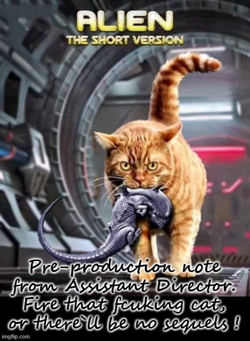 The unwanted predator | image tagged in alien | made w/ Imgflip meme maker
