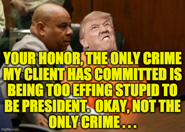 YOUR HONOR, THE ONLY CRIME
MY CLIENT HAS COMMITTED IS
BEING TOO EFFING STUPID TO
BE PRESIDENT.  OKAY, NOT THE
ONLY CRIME . . . | made w/ Imgflip meme maker