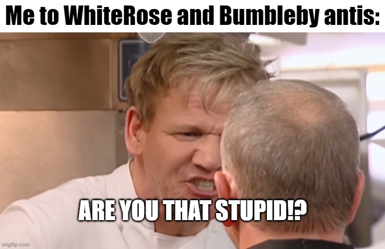 The antis are the reason why I can't get into RWBY, even though I'd like to | Me to WhiteRose and Bumbleby antis:; ARE YOU THAT STUPID!? | image tagged in gordon ramsay,kitchen nightmares,rwby | made w/ Imgflip meme maker