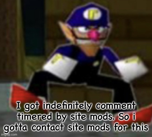(*24 hour ban) | I got indefinitely comment timered by site mods. So i gotta contact site mods for this | image tagged in wah male | made w/ Imgflip meme maker