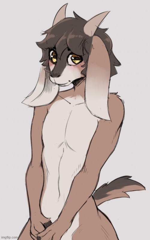 Goat boi (By CoolieHigh) | image tagged in furry,femboy,cute,adorable,goat | made w/ Imgflip meme maker