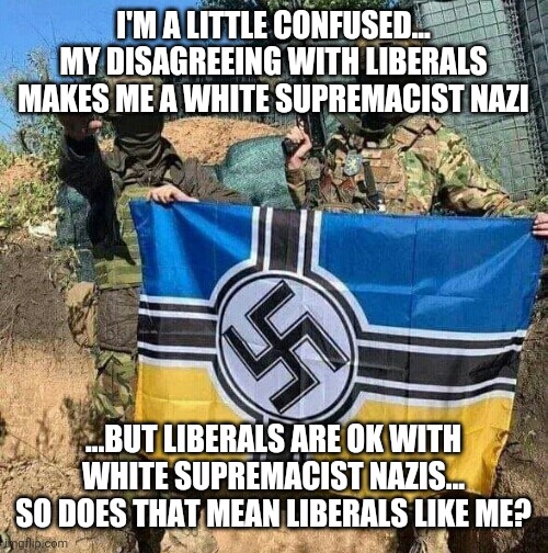 It's all very confusing | I'M A LITTLE CONFUSED... MY DISAGREEING WITH LIBERALS MAKES ME A WHITE SUPREMACIST NAZI; ...BUT LIBERALS ARE OK WITH WHITE SUPREMACIST NAZIS... SO DOES THAT MEAN LIBERALS LIKE ME? | image tagged in azov battalion neonazi bad guys with flag | made w/ Imgflip meme maker