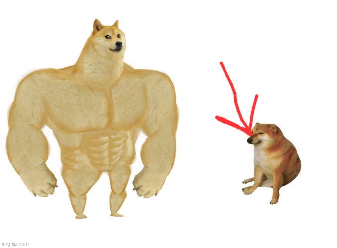 Big dog small dog | image tagged in big dog small dog | made w/ Imgflip meme maker