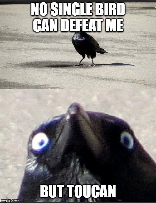 insanity crow | NO SINGLE BIRD CAN DEFEAT ME; BUT TOUCAN | image tagged in insanity crow | made w/ Imgflip meme maker