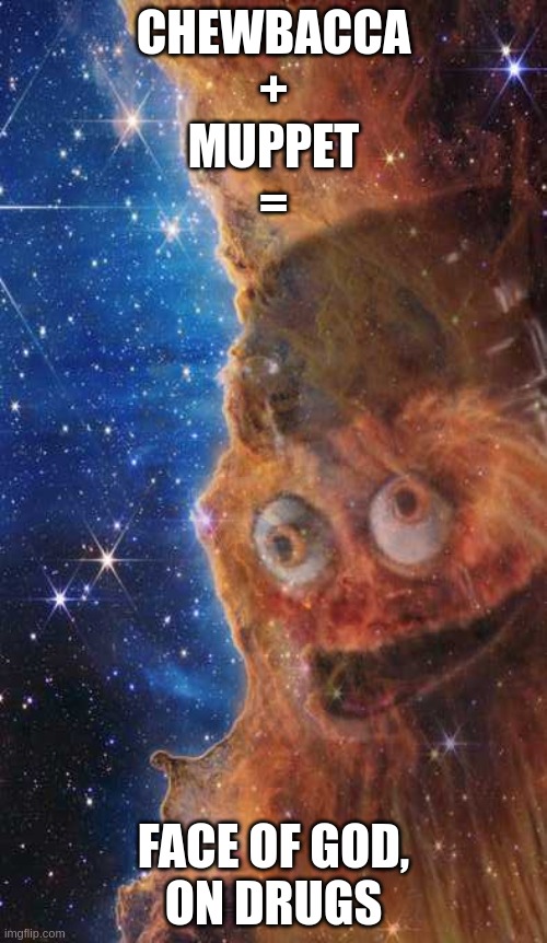 James Webb, probably | CHEWBACCA
+
MUPPET
=; FACE OF GOD,
ON DRUGS | image tagged in chewbacca muppet god | made w/ Imgflip meme maker