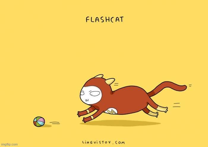 A Cat's Way Of Thinking | image tagged in memes,comics,cats,toy,chase,flash | made w/ Imgflip meme maker