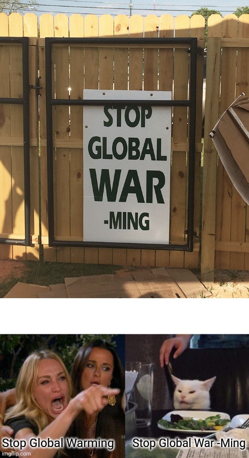 "Stop Global War" famous quote by Ming | Stop Global Warming; Stop Global War -Ming | image tagged in memes,woman yelling at cat | made w/ Imgflip meme maker